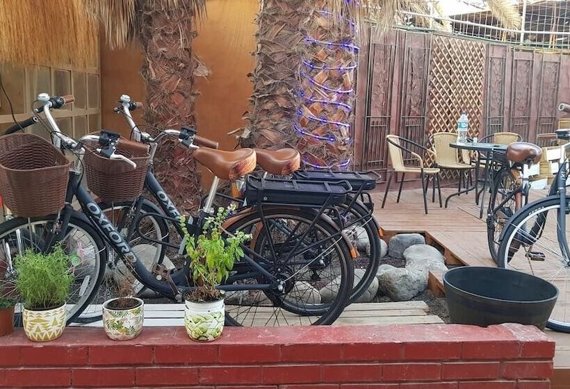 Hostel Willka Kuti Backpackers