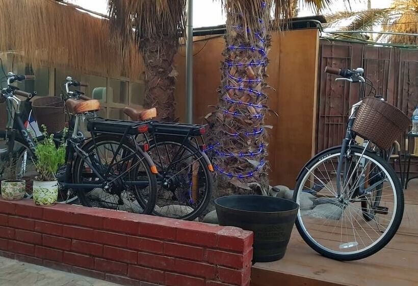 Hostel Willka Kuti Backpackers