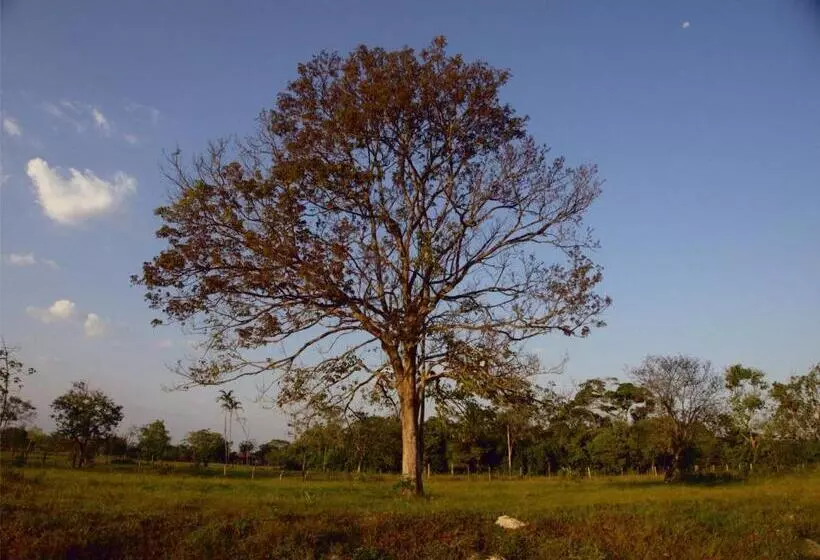 ホテル Rio Humadea