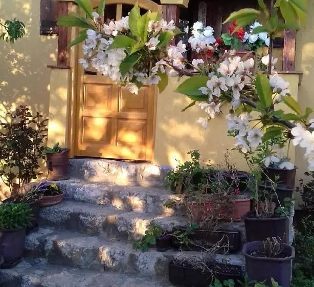 B&b Jonovic