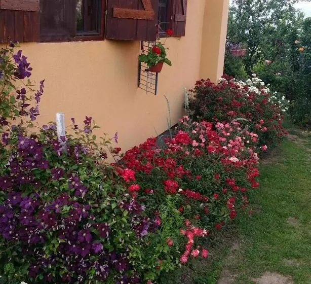 B&b Jonovic
