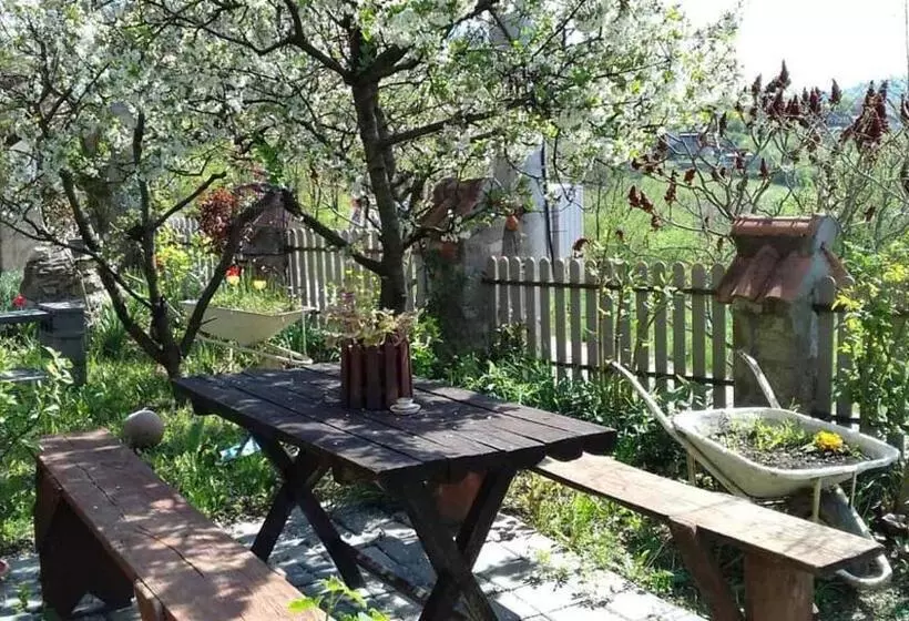 B&b Jonovic