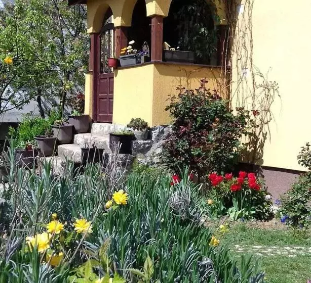 B&b Jonovic