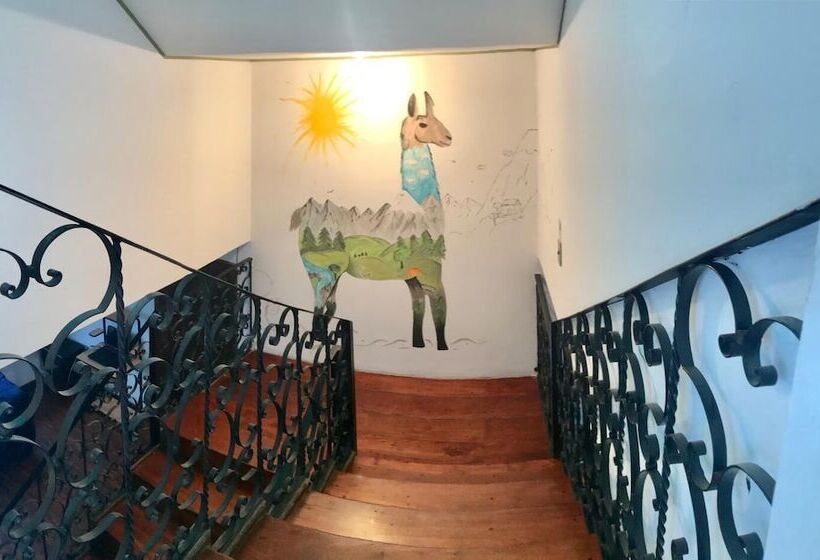 פנסיון Hostel Tierra De Fuego