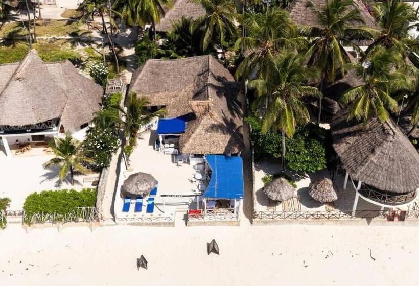 تختخواب و صبحانه Peter Pan Beach Lodge & Italian Restaurant