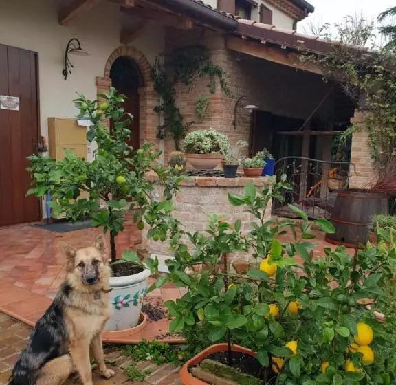 Ca' Dei Gelsi B & B