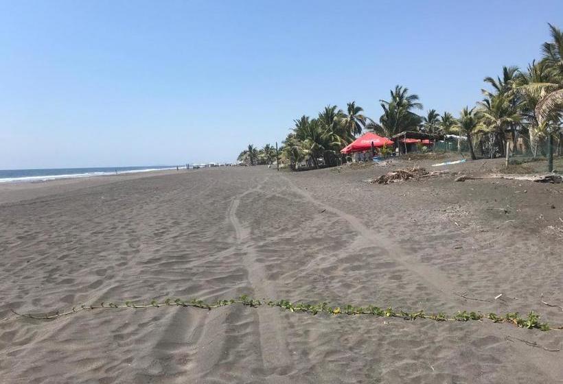 فندق Cuyutlan Holistico