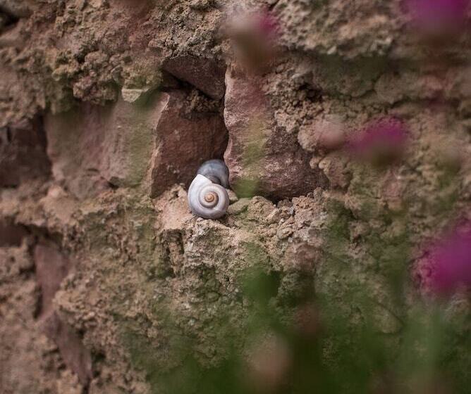 Hotel Schlafplätzle