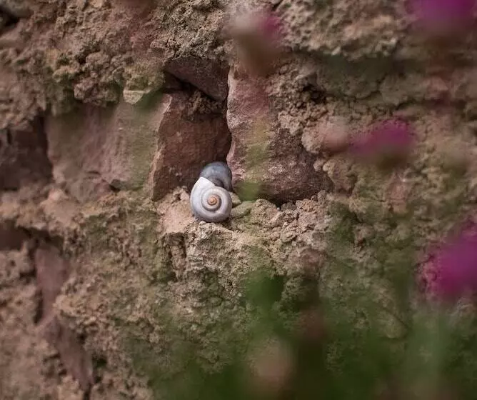 Hotelli Schlafplätzle