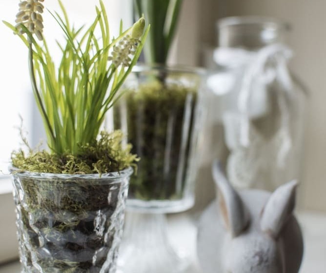 Hotel Schlafplätzle