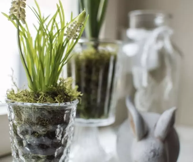 Hotelli Schlafplätzle