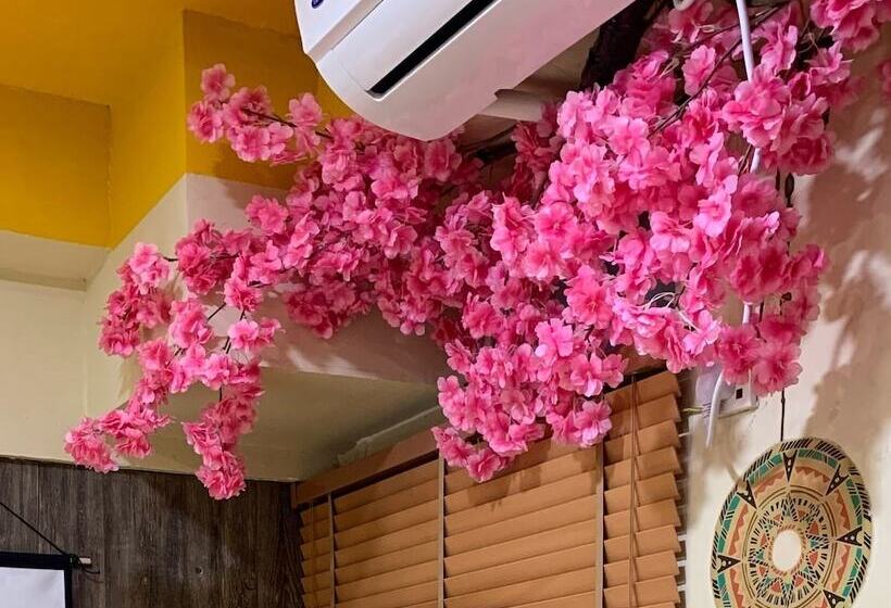 Hostel Amu Dreamhouse 阿木旅舍