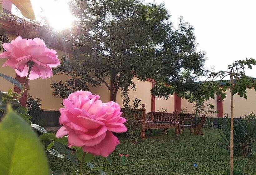 Chinor Garden Hotel Free Airport Pick Up And Drop Off