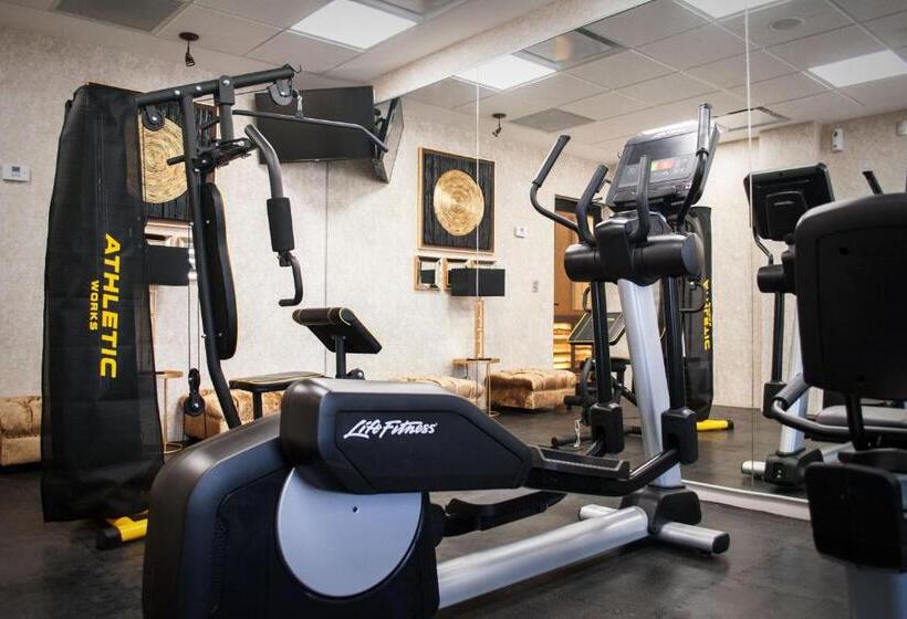 هتل Wyndham Torreon