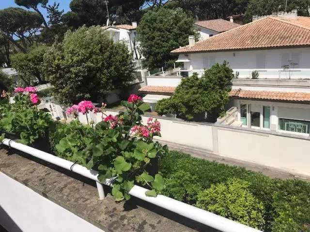 Aamiaismajoitus (B&B) Parco Fellini Fregene