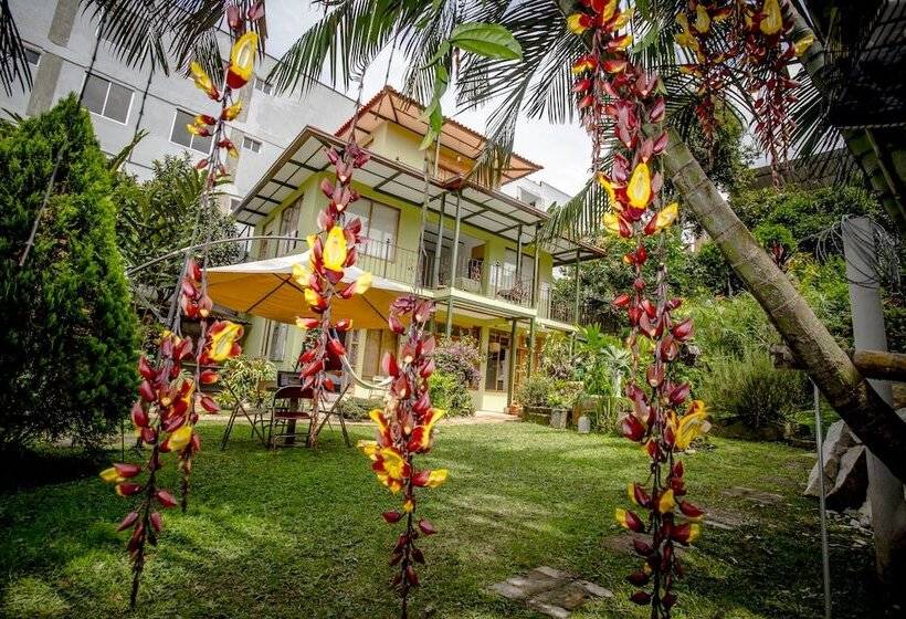 Hotel Posada Las Bromelias