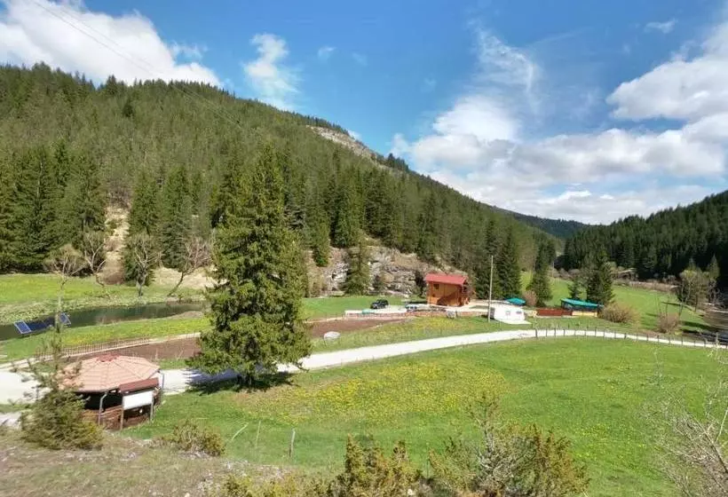 پانسیون Guest House Chobaka