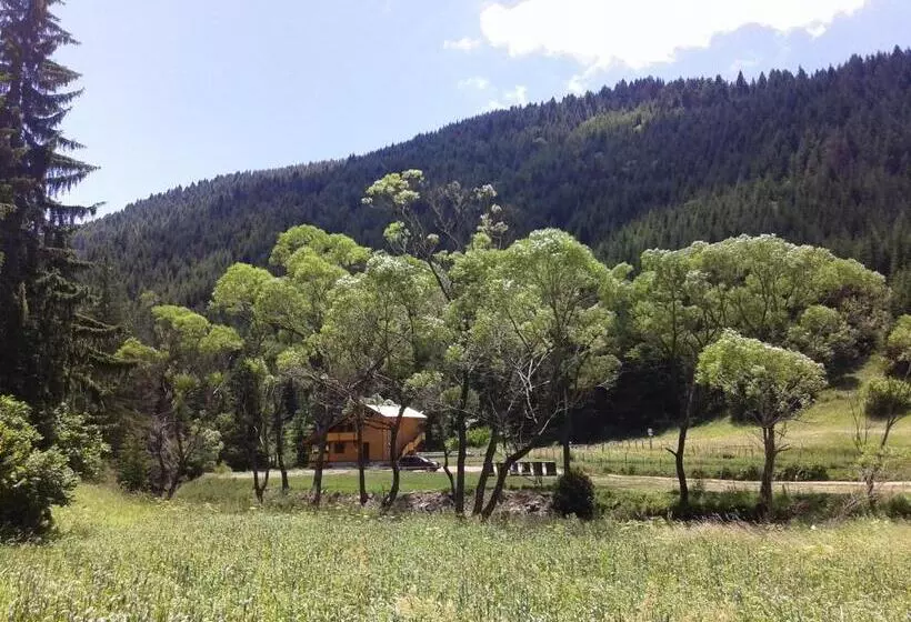 پانسیون Guest House Chobaka