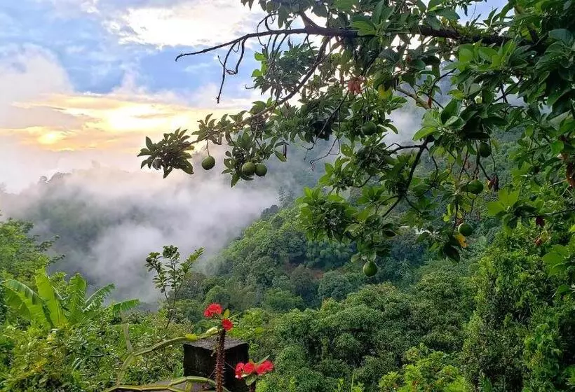 پانسیون Prince Valley Guesthouse