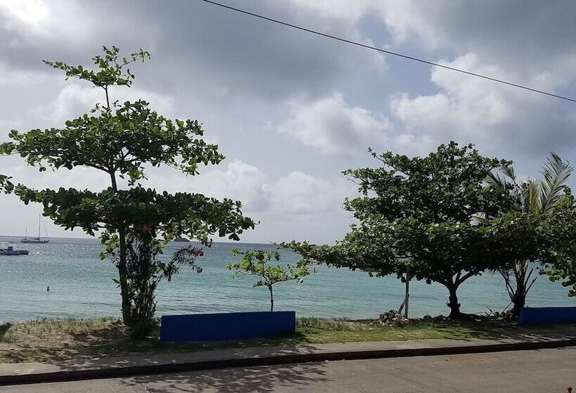 הוסטל Rosa Guesthouse