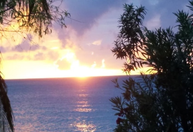 הוסטל Rosa Guesthouse