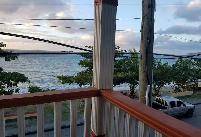 هاستل Rosa Guesthouse