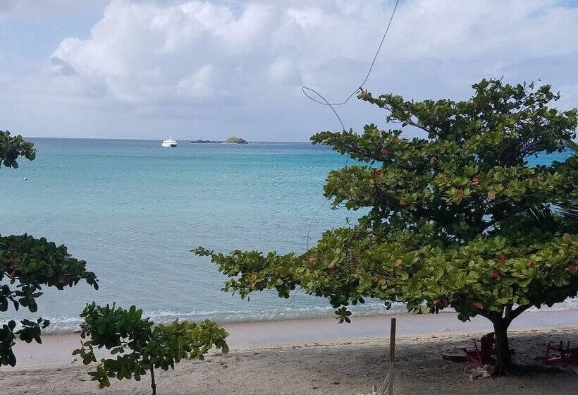 הוסטל Rosa Guesthouse