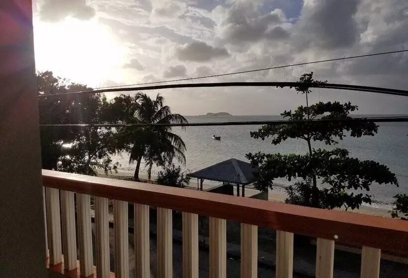 هاستل Rosa Guesthouse