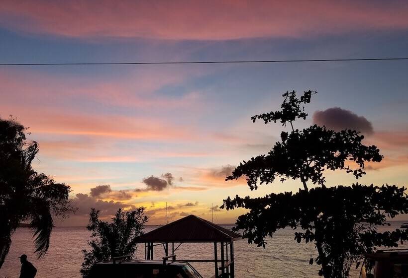 הוסטל Rosa Guesthouse