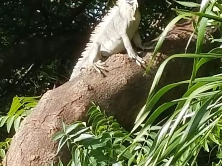 هاستل Rosa Guesthouse