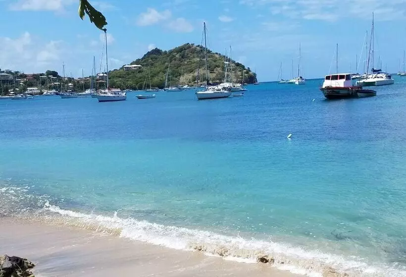 هاستل Rosa Guesthouse