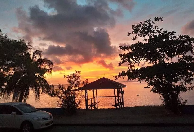 هاستل Rosa Guesthouse