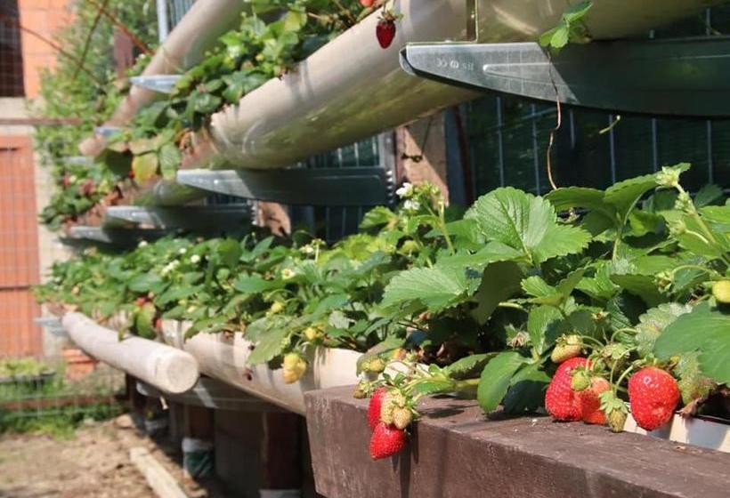 Bed & Breakfast 1906