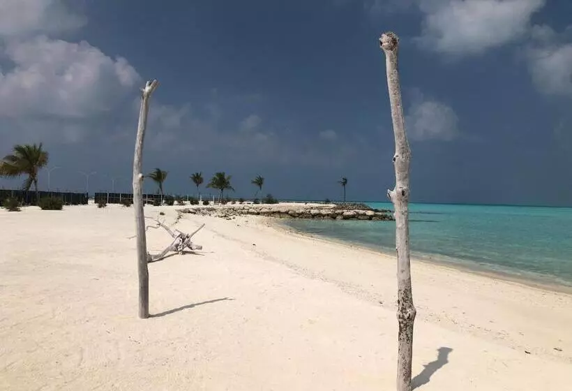 هتل Old Town Inn Maldives