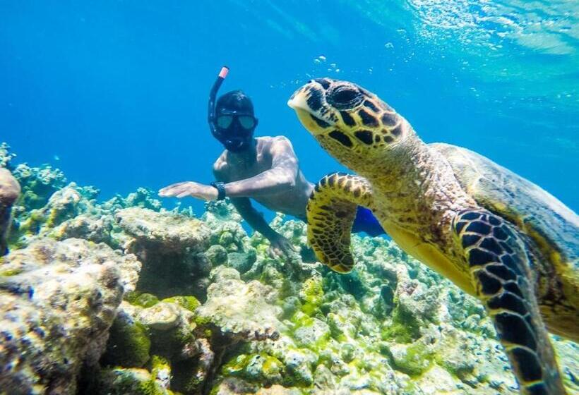 هتل Old Town Inn Maldives