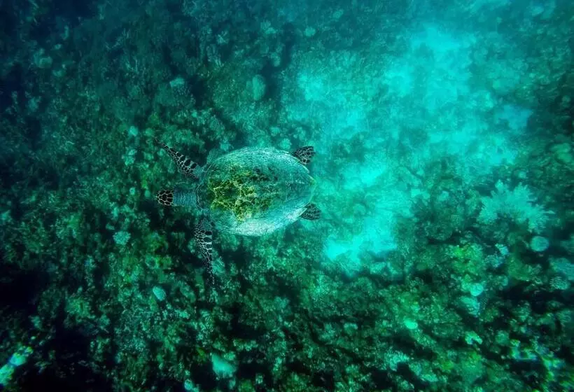 هتل Old Town Inn Maldives