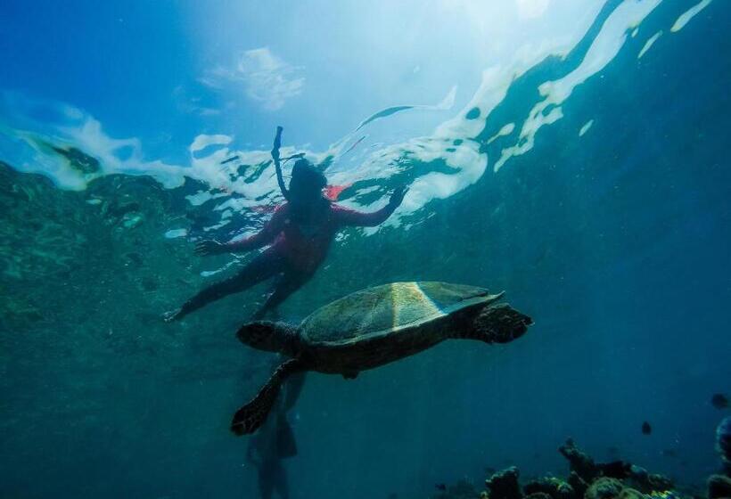 هتل Old Town Inn Maldives