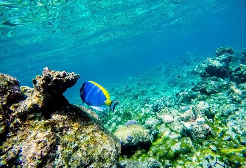 هتل Old Town Inn Maldives