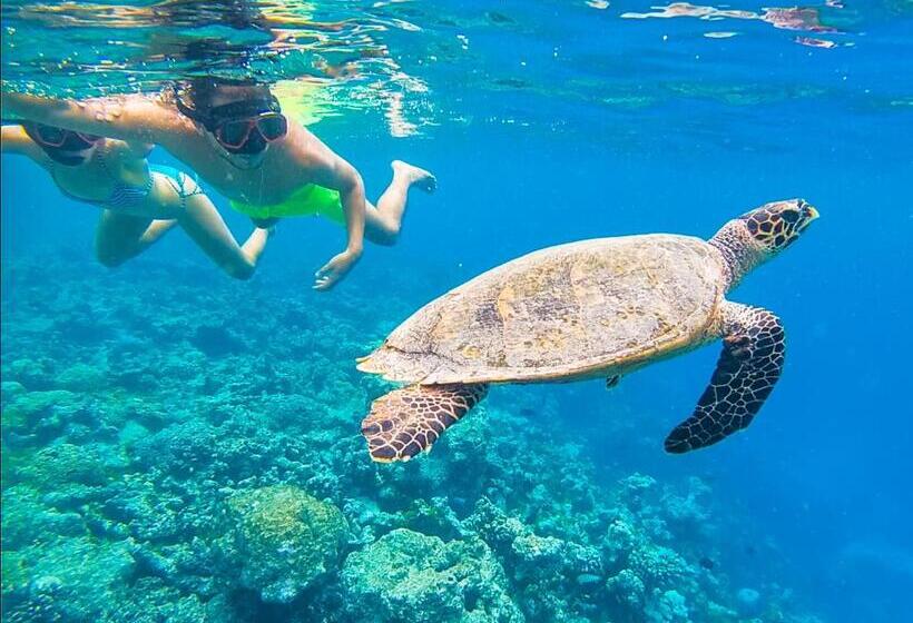 هتل Old Town Inn Maldives