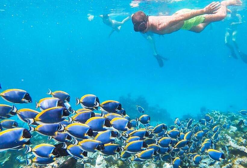 هتل Old Town Inn Maldives