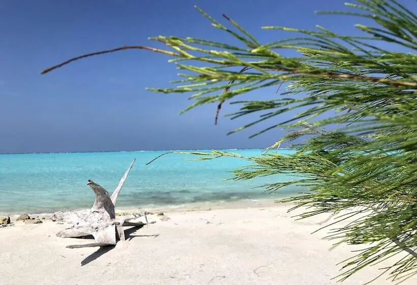 هتل Old Town Inn Maldives