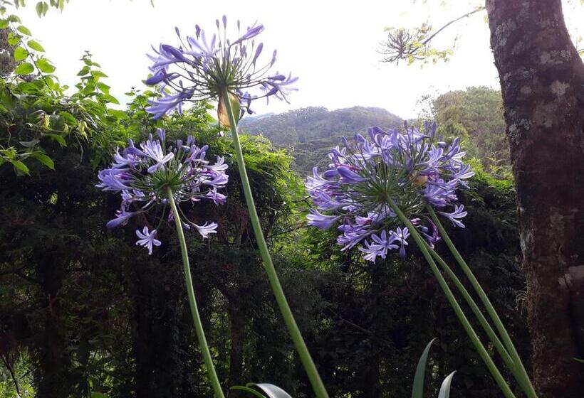 بنسيون Aconchego Da Roça