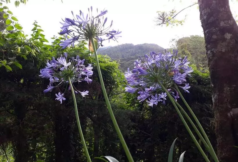 ペンション Aconchego Da Roça