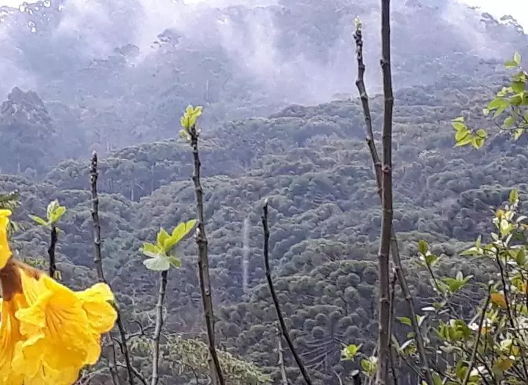 ペンション Aconchego Da Roça