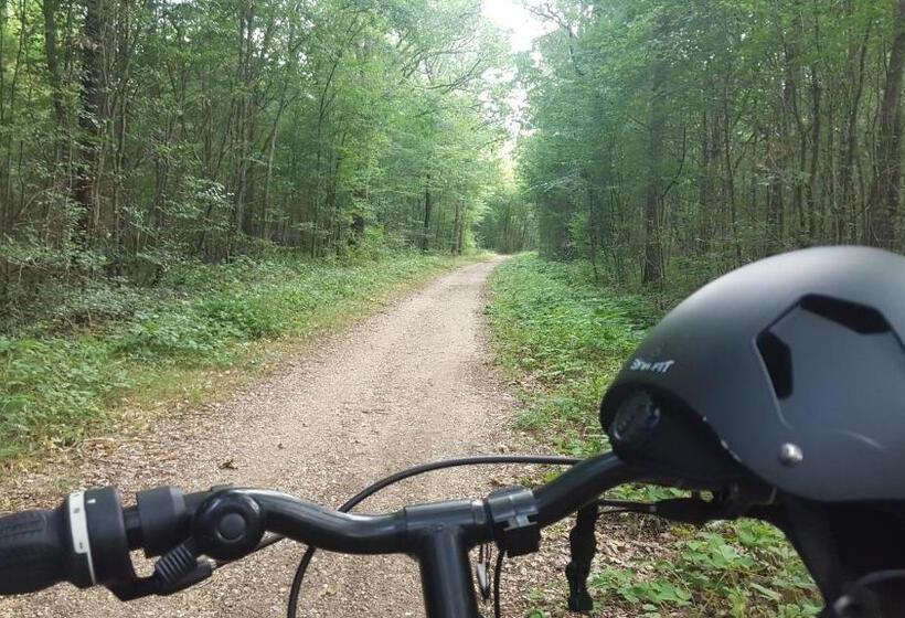 Bed and Breakfast Apakabar Homestay   Ambiance Balinaise, Parking Privé, Netflix