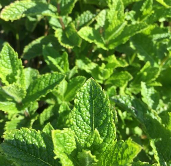 צימר The Pier Bar , Cleggan