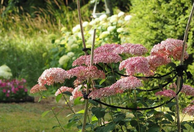 膳宿费 Hunajakoto