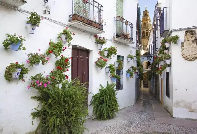 Tandem Mezquita