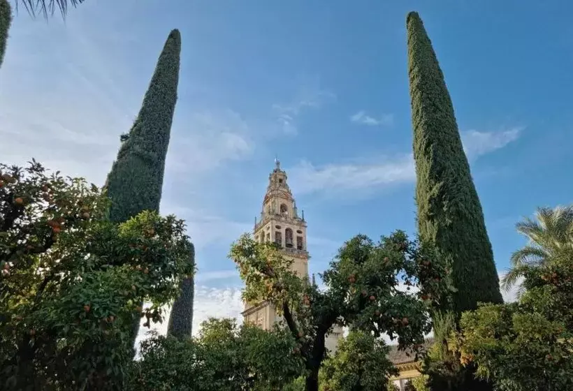 Tandem Mezquita