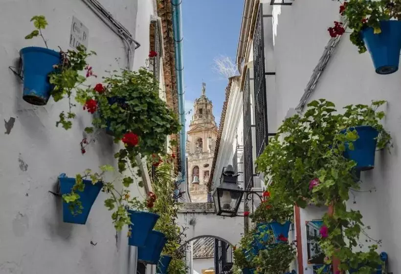 Tandem Mezquita